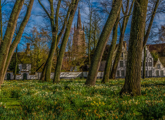 Trees, Flowers, Cathedral, Houses, Bruge, Belgium