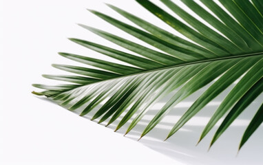 palm leaf isolated created with Generative AI technology