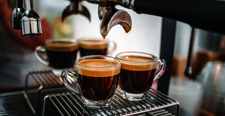 Professional espresso machine while preparing two espressos shot in a coffee shop. Close-up of...