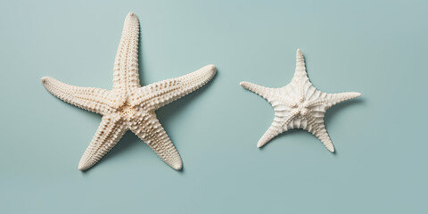 starfish isolated created with Generative AI technology