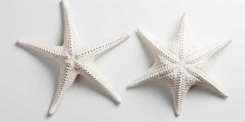 Fototapeta na wymiar starfish isolated created with Generative AI technology