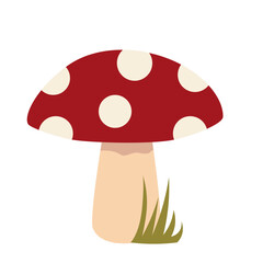 mushroom in a grass