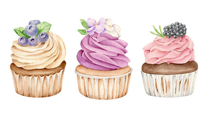 cupcake isolated.watercolor cake set