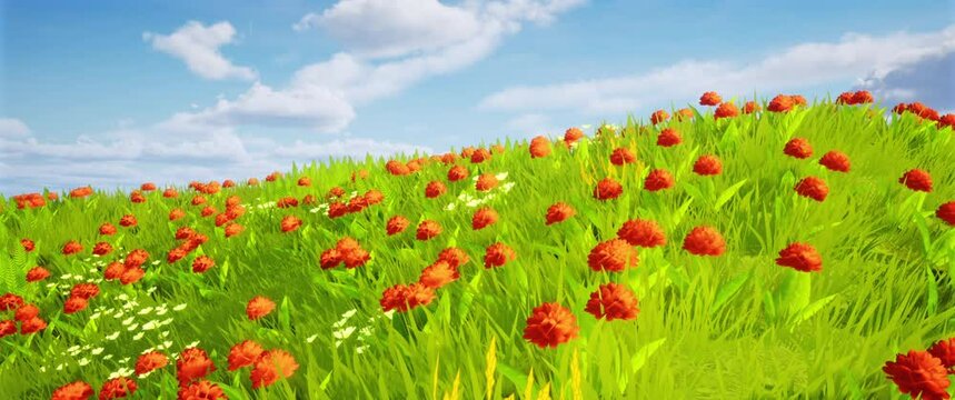 A field of green grass and red flowers. Widescreen looped background