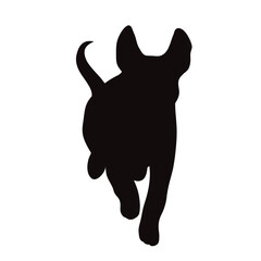 Vector silhouette of jack russell terrier on white background.