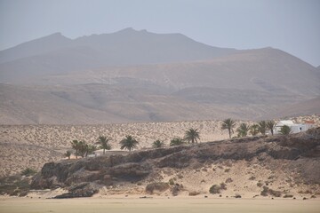 Desert landscape in the mountains with palm trees and white houses on Fuerteventura, Canary islands, Spain