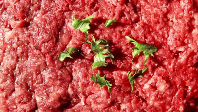 Top view of raw minced meat with onion, garlic and spice. Raw red forcemeat background. Full frame of spicy mince is rotating, spinning. Juicy beef and pork mincemeat. Stuffing meat with seasoning.
