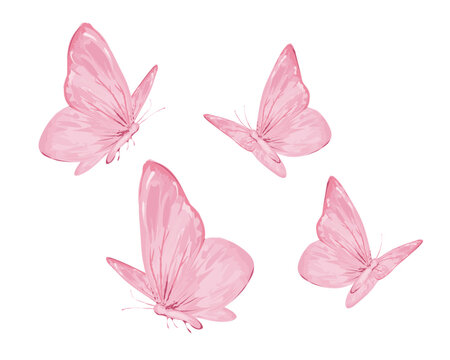 set of butterflies isolated on white