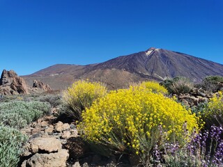 view on the Teide - the highest mountain in Spain on the island of Tenerife