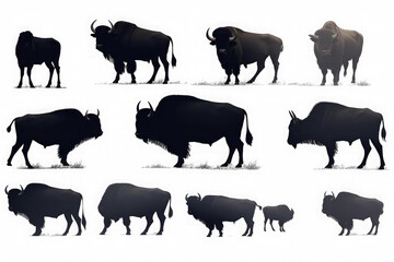 Collection of silhouettes of american bison or buffalo