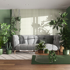 Urban jungle, living room with velvet sofa in white and green tones. Carpets with table, parquet floor and houseplants. Home garden interior design. Love for plants concept