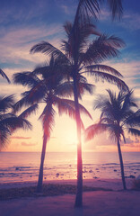 Fototapeta na wymiar Tropical beach with coconut palm trees at sunset, color toned picture.