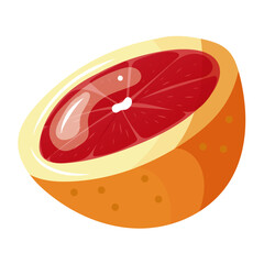 illustration vectorielle pamplemousse