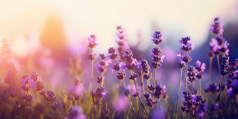 Fototapeta na wymiar Lavender flowers in a field. Lavender field, blurred background, closeup, copy space. Floral background for greeting card for Mother's day, Birthday, Womens day, Wedding. Generative ai illustration
