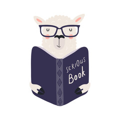 Cute funny llama reading book cartoon character illustration. Hand drawn Scandinavian style flat design, isolated vector. Kids print element, book lover, education, literature, library, bookstore