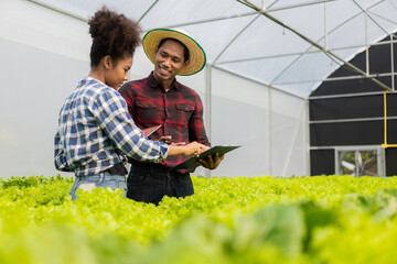 Two asian gardeners working in hydroponics vegetable farm holding tablet walking checking vegetables for harvest, male and female farmer holding green salad box looking at camera with smile in farm