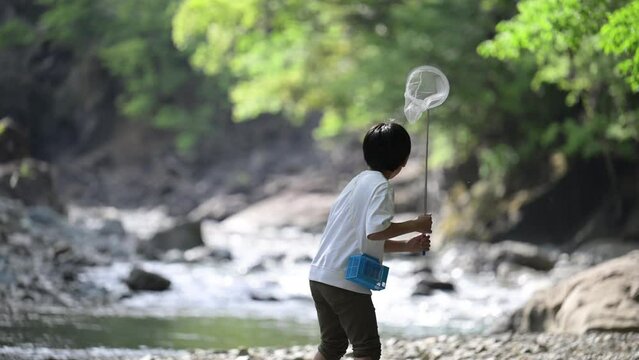 夏休みの少年の冒険　レジャーやアウトドアに　虫取り網でGO の動画