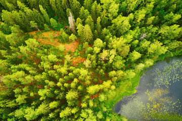 Naklejka premium Aerial view of Helgtrask lake in Sipoonkorpi national park of Finland