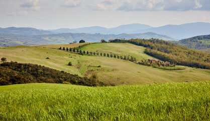 Fototapeta premium Across the hills