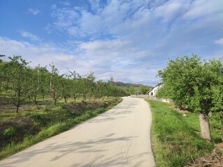 road in the countryside