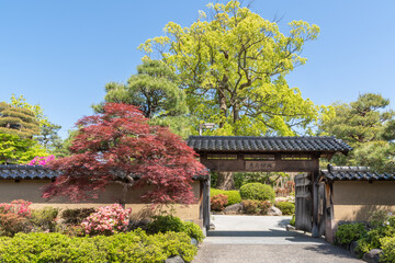 Fototapeta premium 新緑の彦三緑地 金沢市