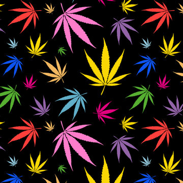 Seamless floral pattern Colorful Cannabis leaves on black background. Vector illustration 