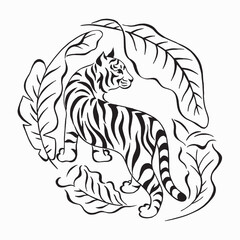 Tiger framed by exotic banana leaves. Black and white hand drawn style illustration isolated on white. Vector illustration. Calligraphy drawing. Tattoo design.