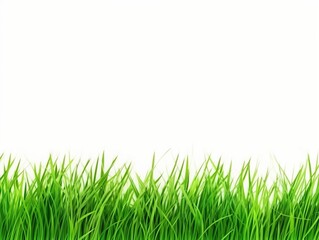 green grass isolated on white background. Generative AI