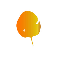 autumn leaf color