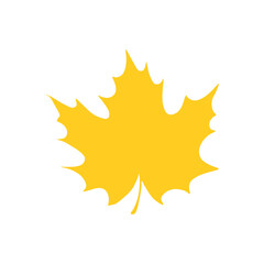 autumn leaf color