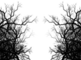 Obraz premium black electric