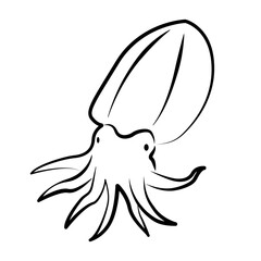Cuttlefish. Сephalopod, related to squid and octopus. Ink black and white doodle drawing in woodcut style with inscription