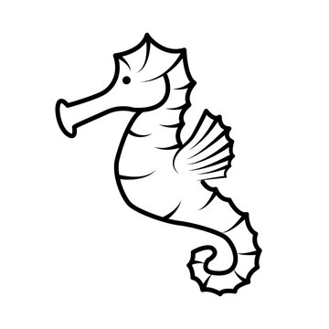 Seahorse fish illustration. Salt water exotic sea horse fish. Hand drawn small tropical seahorse fish. Aquarium creature, isolated on white background. Linear style