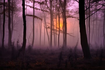 dark purple forest with foggy morning sunrise, created with generative ai