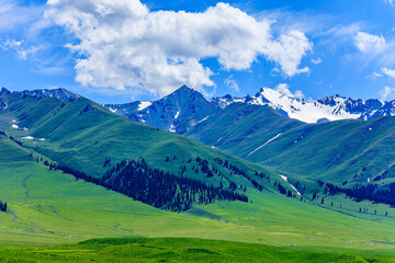 Fototapeta na wymiar Green grassland and mountain natural landscape in Xinjiang, China.