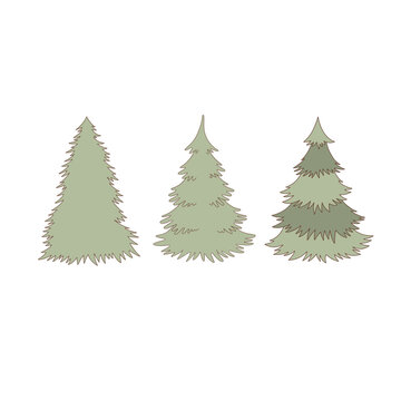 Christmas tree vector clip-art set isolated on white. Outlined spruce illustration collection. Fir-tree design elements.
