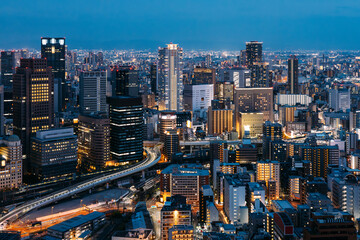 Fototapeta na wymiar Night skyline of Osaka City, Japan