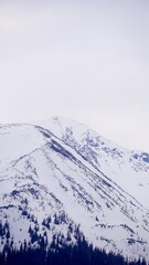 Góry w śniegu, zakopany, tatry, tatrzański park narodowy