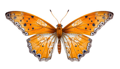 Butterfly isolated on transparent background. 3D render.