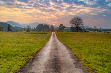 Fototapeta premium Beautiful alpine countryside road at the sunset.