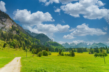 Fototapeta na wymiar Scenic landscape in Bavaria, Germany.
