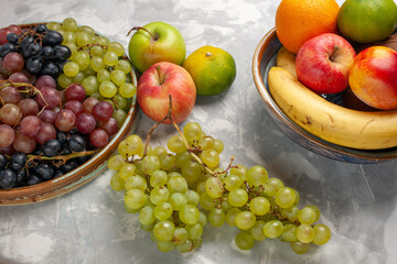 front view different grapes with other fruits on white background fruits fresh mellow juice summer