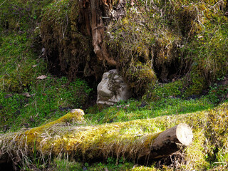 Spring in nature. Decorated Latvian nature walking trail, created stone faces, which are hidden in other stones next to the river and the moss and trees