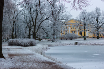 snow-covered trees and buildings in Alexander Park