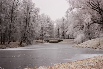 View of the snow-covered pond and bridge in the park