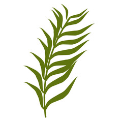 Botanical leaves illustration.plant leaves