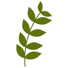 Botanical leaves illustration.plant leaves