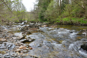 The River Irfon near Abergwesyn, Powys, Wales.