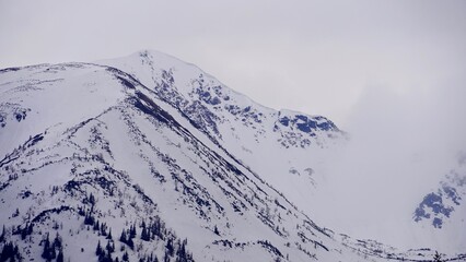 Tatras national park, zakopane landscape, mountain in the snow                         