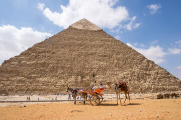 Fototapeta na wymiar Coche de caballos y camello junto a la pirámide de Kefrén en Guiza, El Cairo, Egipto